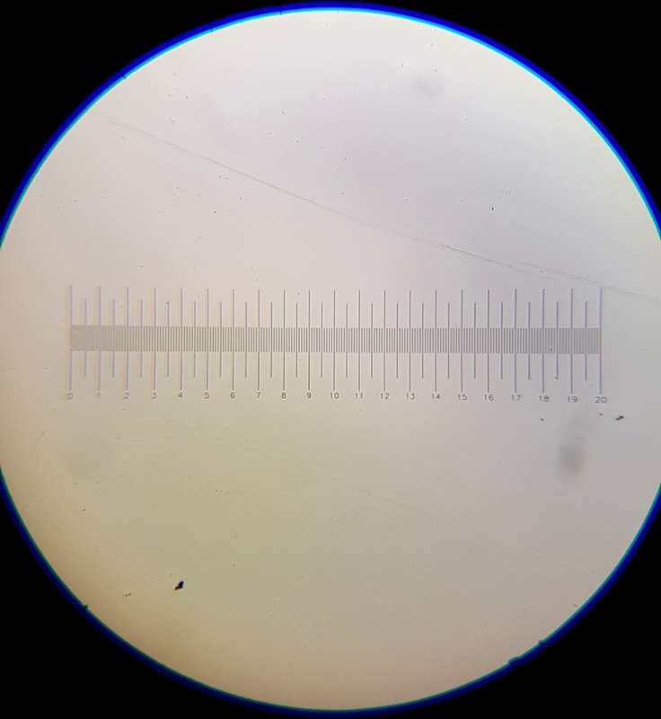 microscope view scale